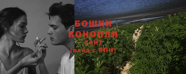 мдпв Волосово