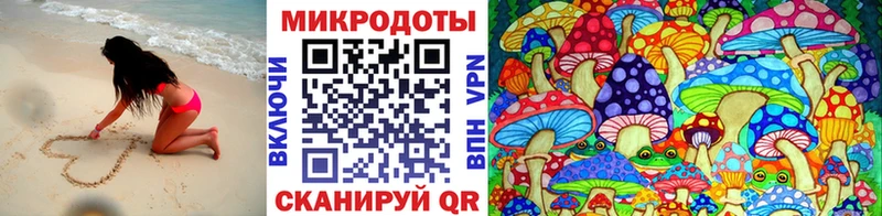Купить где  Чистополь  Галлюциногенные грибы Psilocybe 