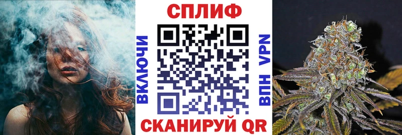 Конопля ГИДРОПОН  Купить  Чистополь 